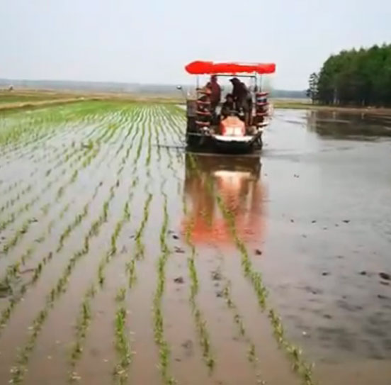 陳滿茹農機